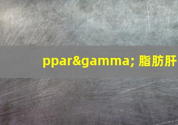 pparγ 脂肪肝